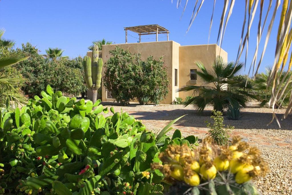 Sole Caliente Todos Santos Exterior foto