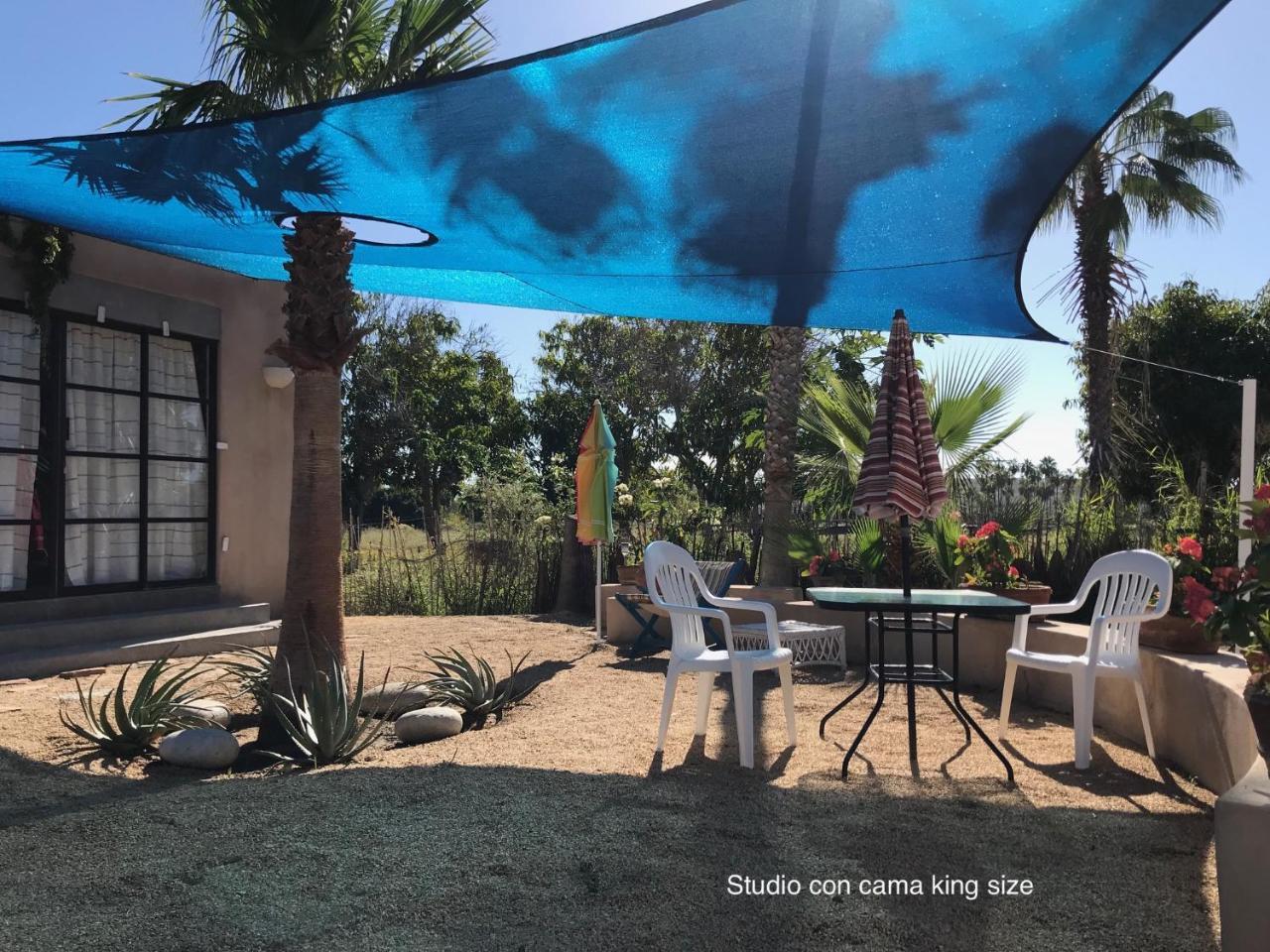 Sole Caliente Todos Santos Exterior foto