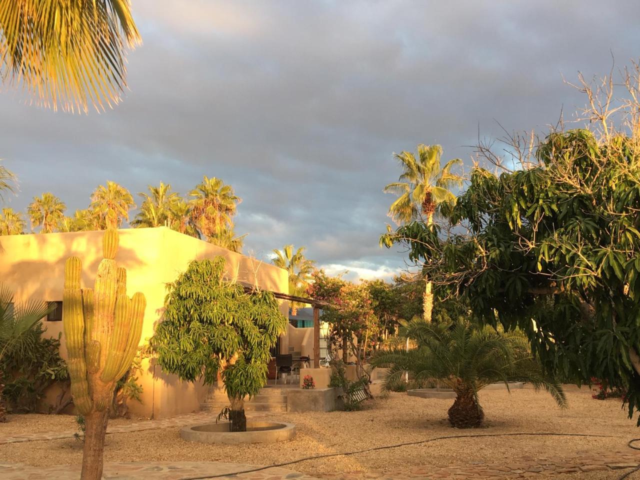 Sole Caliente Todos Santos Exterior foto